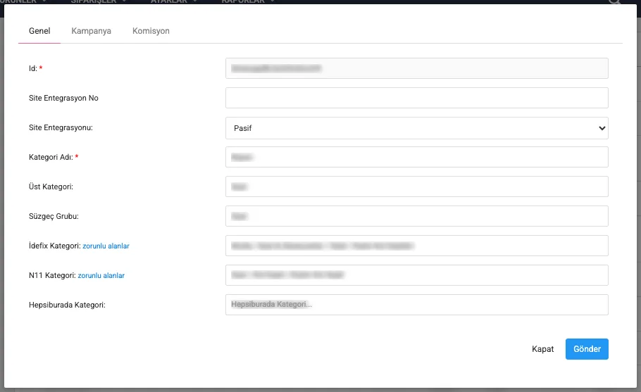 Kategori düzenleme — Genel sekmesi